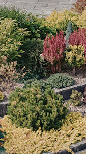 Sutherlands Blog Image